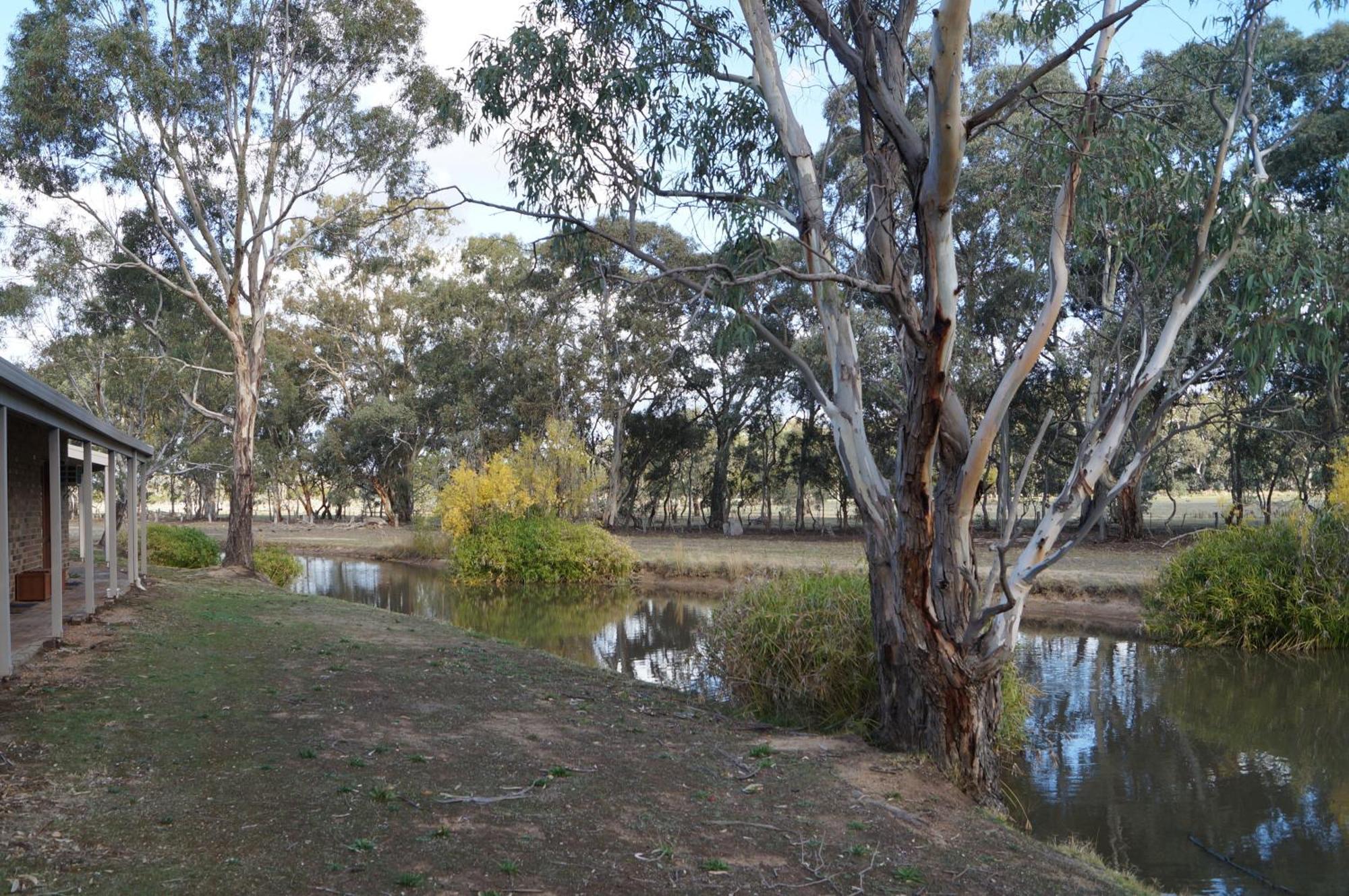 Magdala Motor Lodge & Lakeside Restaurant Stawell Δωμάτιο φωτογραφία