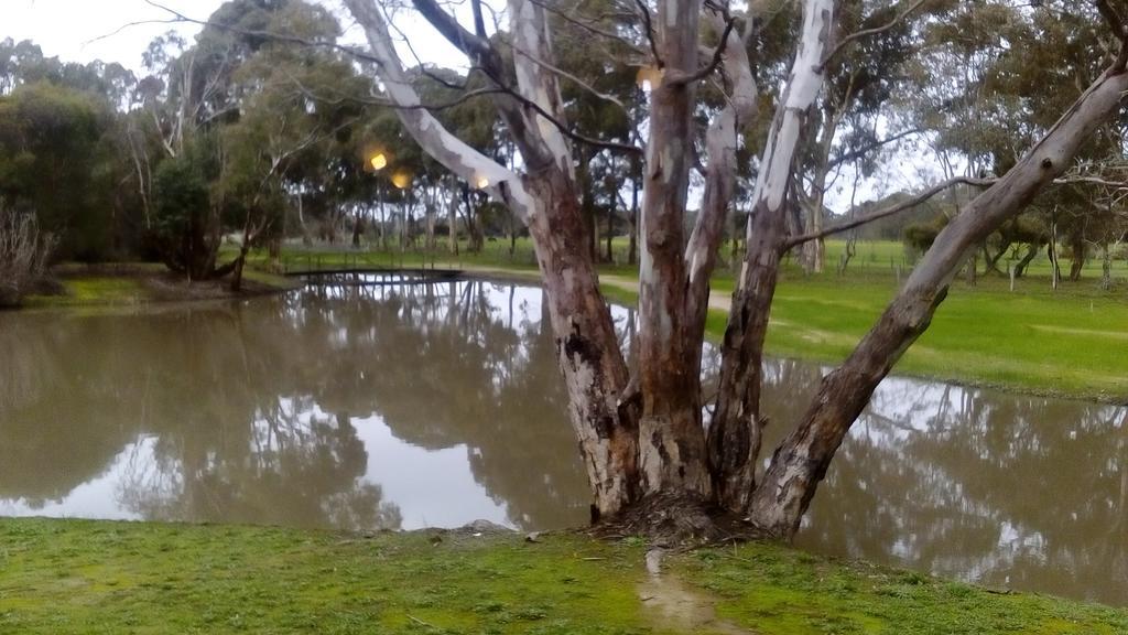 Magdala Motor Lodge & Lakeside Restaurant Stawell Εξωτερικό φωτογραφία